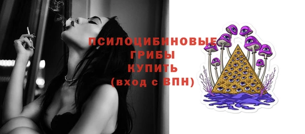 тгк Нефтекумск