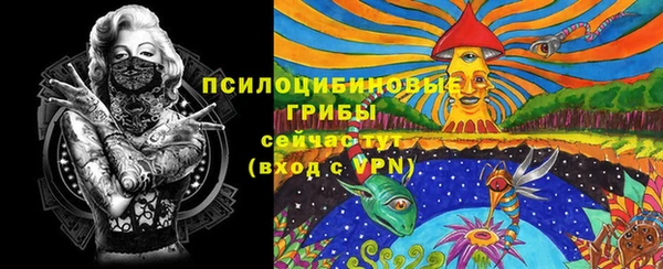 крисы Нефтегорск