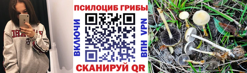 Псилоцибиновые грибы ЛСД  хочу наркоту  Люберцы 