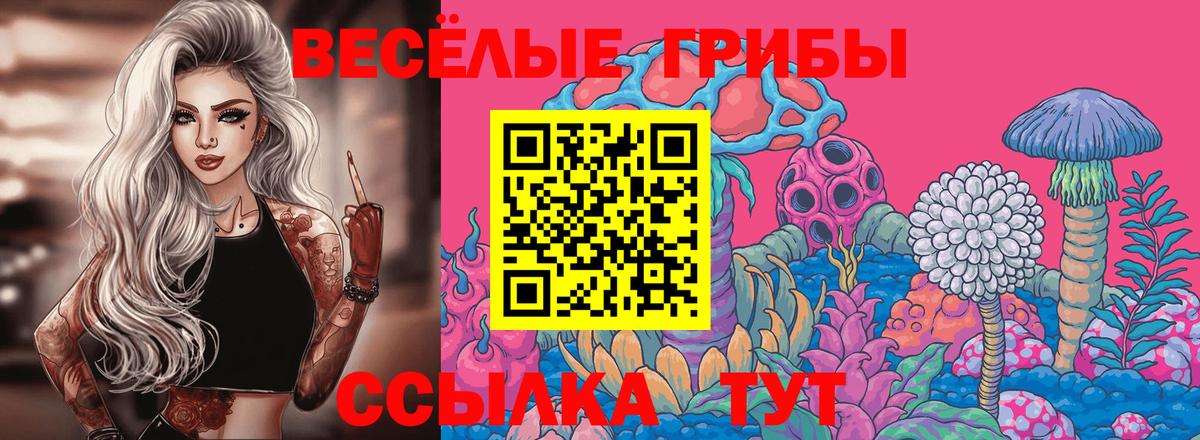 Галлюциногенные грибы Psilocybe  Люберцы  Галлюциногенные грибы Cubensis 