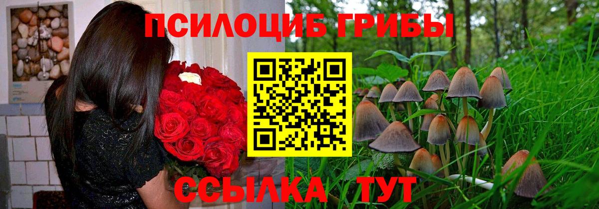 Псилоцибиновые грибы мицелий Люберцы