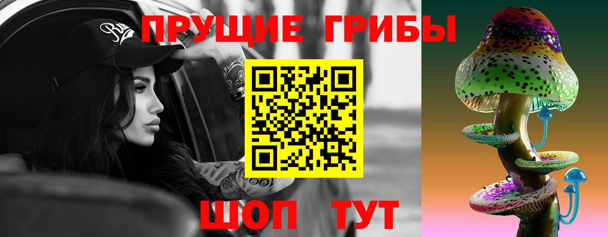 Люберцы  Псилоцибиновые грибы Cubensis  Вход с VPN  Галлюциногенные грибы Cubensis 
